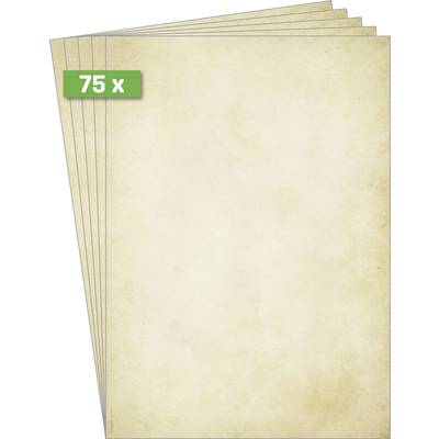 Sigel DP983 Vintage Motif printer paper Set A4 90 g/m² Beige 75 sheet